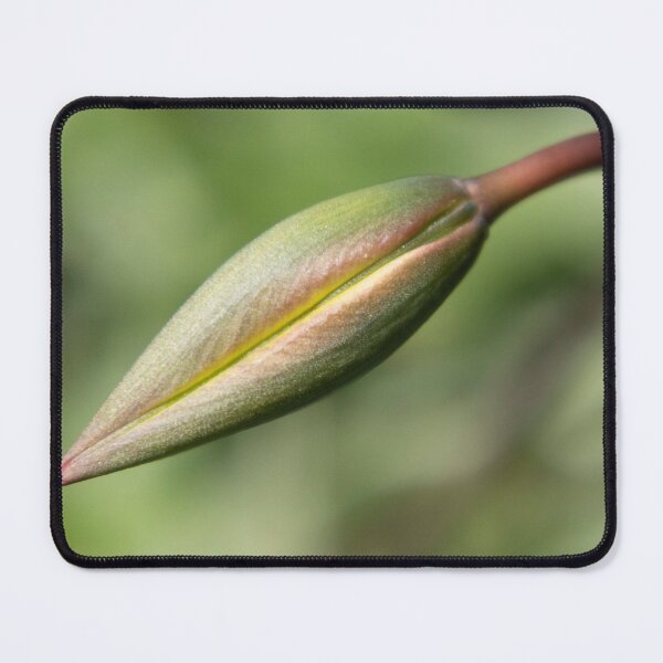 Item preview, Unfolding Elegance designed and sold by OrsalArt.