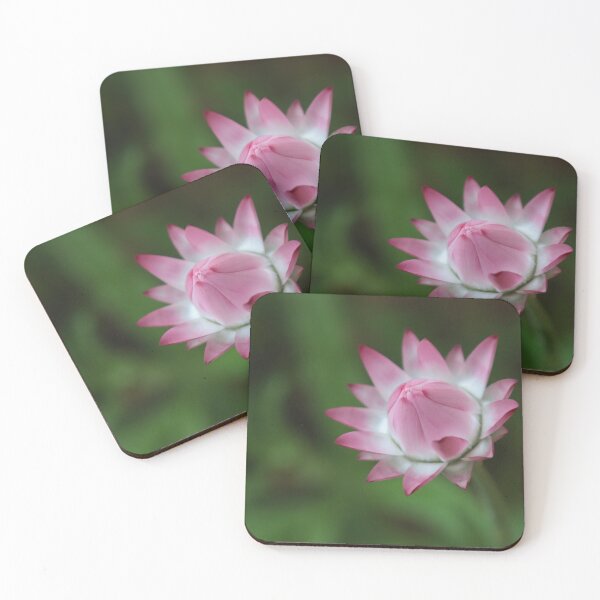 Item preview, Graceful Bud of a Strawflower designed and sold by OrsalArt.