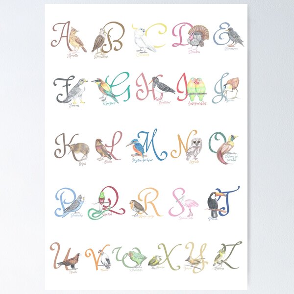 Item preview, Bird ABCs designed and sold by Marie-Crevette.