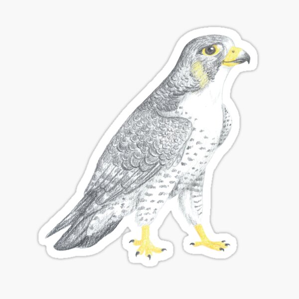 Item preview, Falcon designed and sold by Marie-Crevette.
