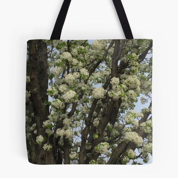Item preview, Cherry Blossoms  designed and sold by carolxo.