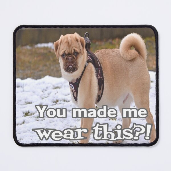 Item preview, You Made Me Wear This?! designed and sold by Surreallytee.