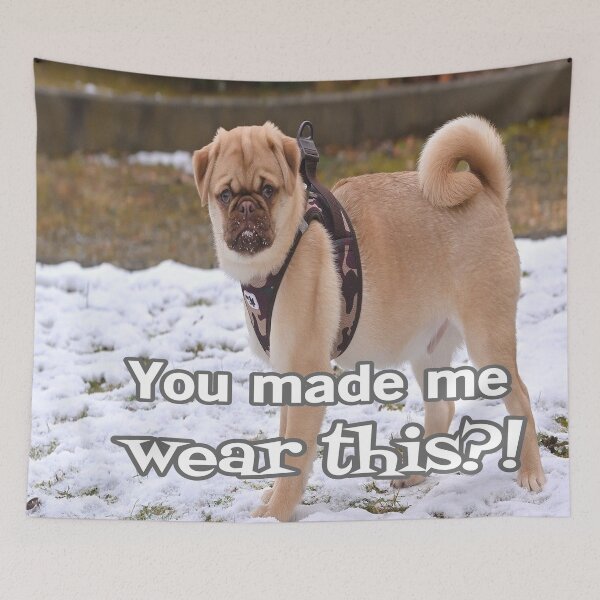 Item preview, You Made Me Wear This?! designed and sold by Surreallytee.