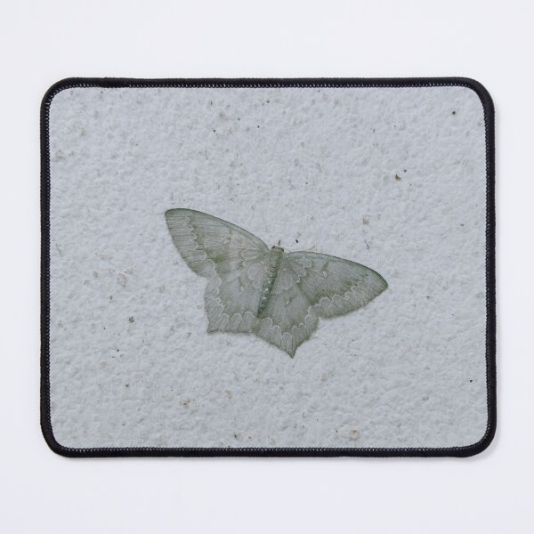 Item preview, Butterfly on Concrete Wall designed and sold by Glam-OOTD.
