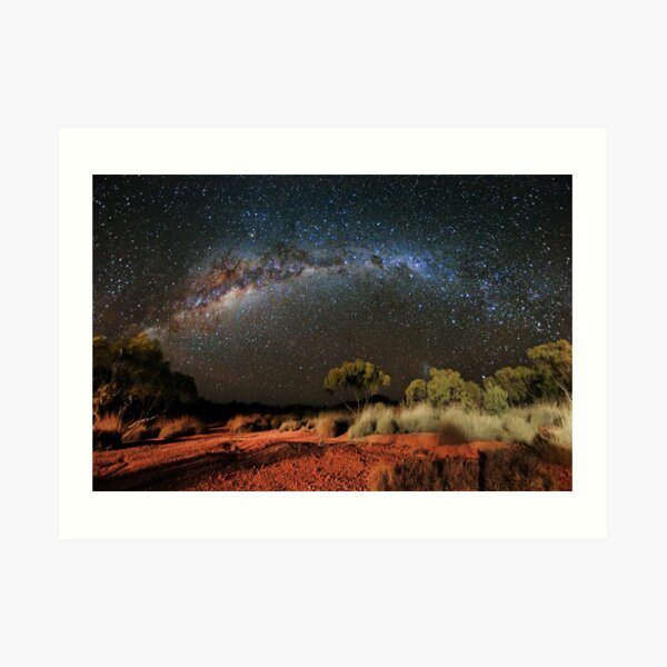 Spinifex and Stars Art Print