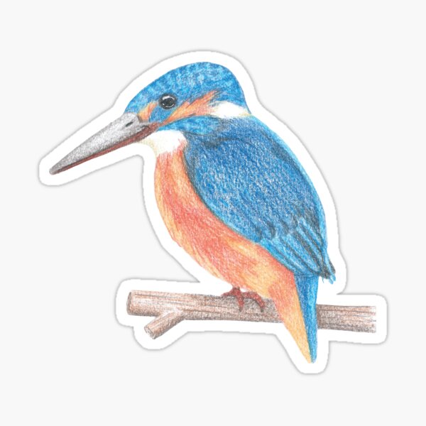 Item preview, Kingfisher designed and sold by Marie-Crevette.