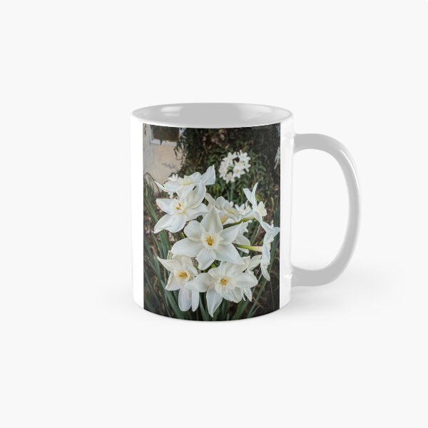 Item preview, Paperwhites 2025 designed and sold by Douglas E. Welch Design and Photography.