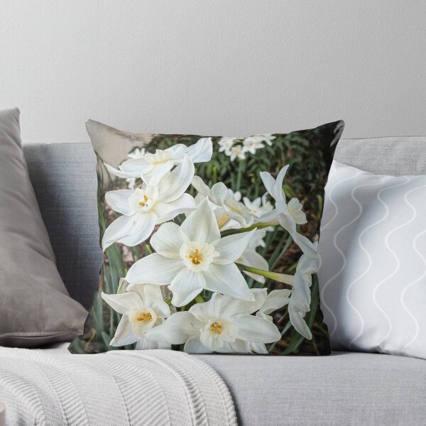Item preview, Paperwhites 2025 designed and sold by Douglas E. Welch Design and Photography.