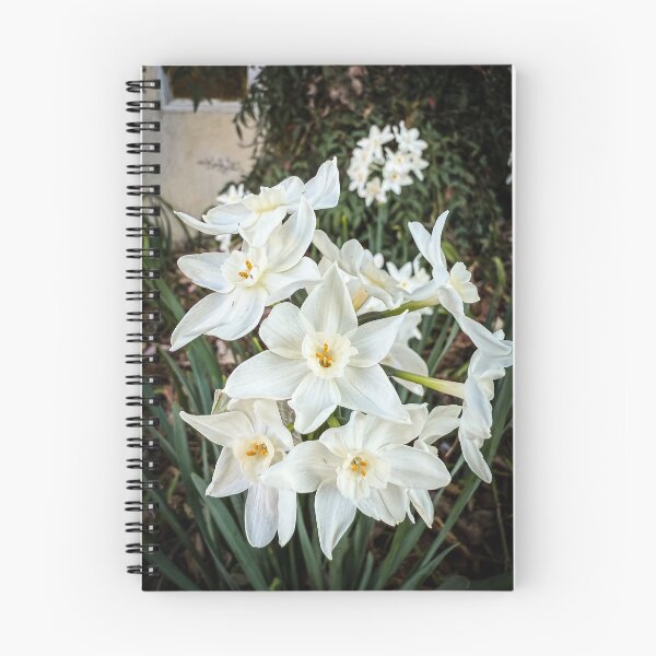 Item preview, Paperwhites 2025 designed and sold by Douglas E. Welch Design and Photography.
