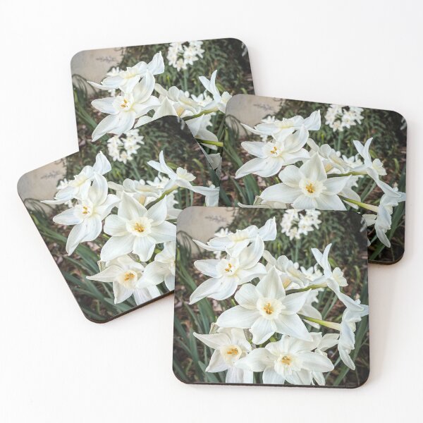 Item preview, Paperwhites 2025 designed and sold by Douglas E. Welch Design and Photography.