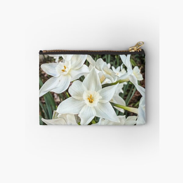 Item preview, Paperwhites 2025 designed and sold by Douglas E. Welch Design and Photography.