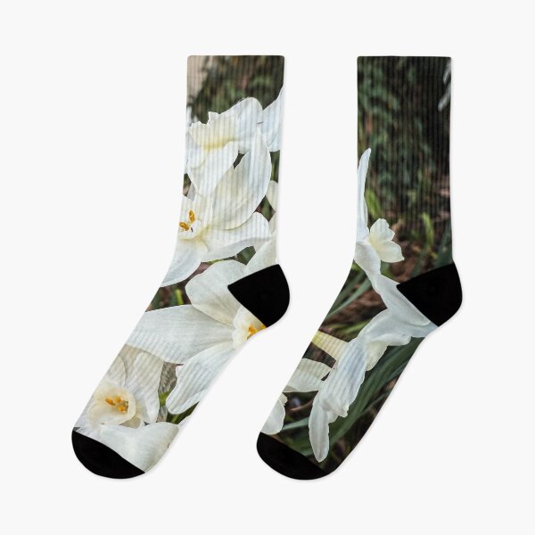Item preview, Paperwhites 2025 designed and sold by Douglas E. Welch Design and Photography.