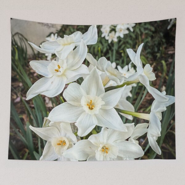 Item preview, Paperwhites 2025 designed and sold by Douglas E. Welch Design and Photography.