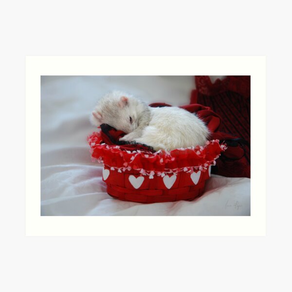 My Basket of Love Art Print