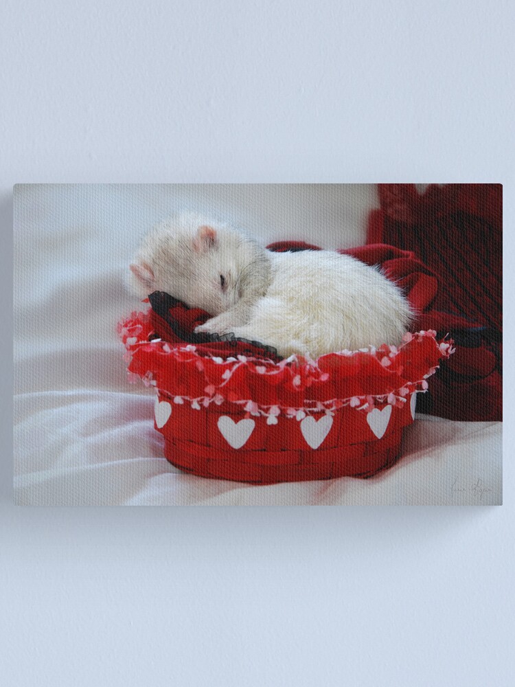 Alternate view of My Basket of Love Canvas Print