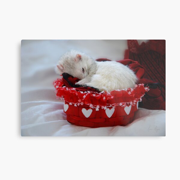 My Basket of Love Metal Print