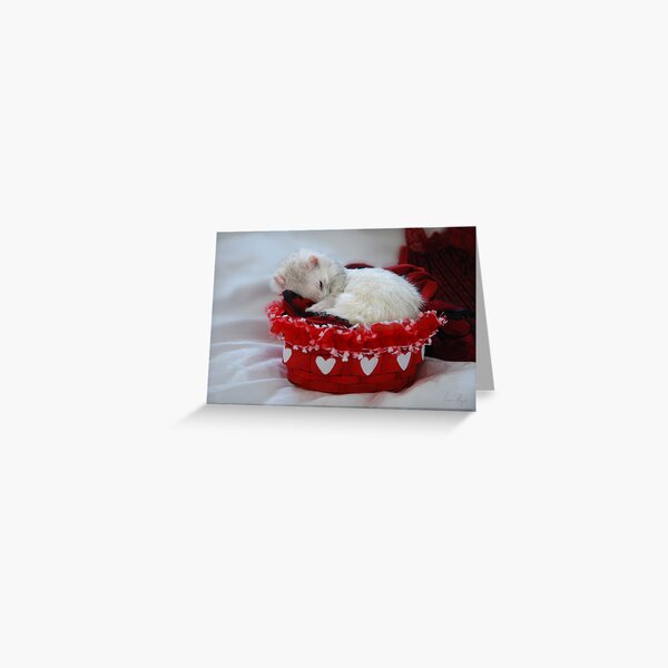 My Basket of Love Greeting Card
