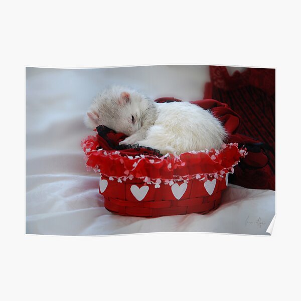 My Basket of Love Poster