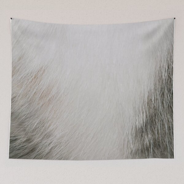 Item preview, Close-up of a White and Gray Cat Fur designed and sold by Glam-OOTD.