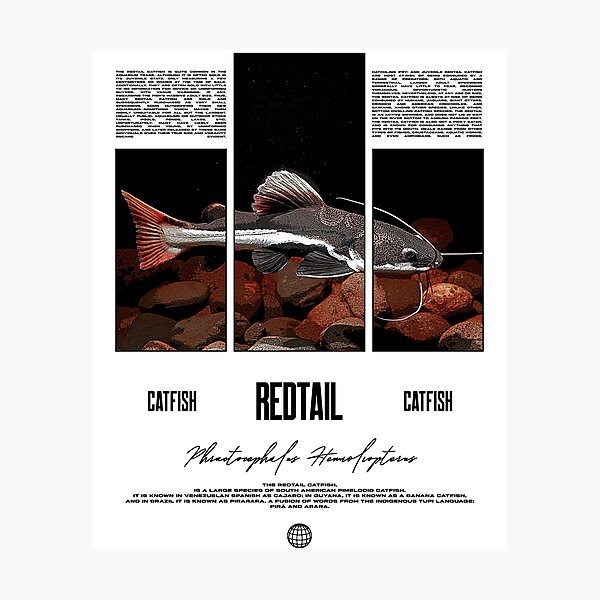 Item preview, Redtail Catfish Water Change Monster Fish designed and sold by JRRTs.