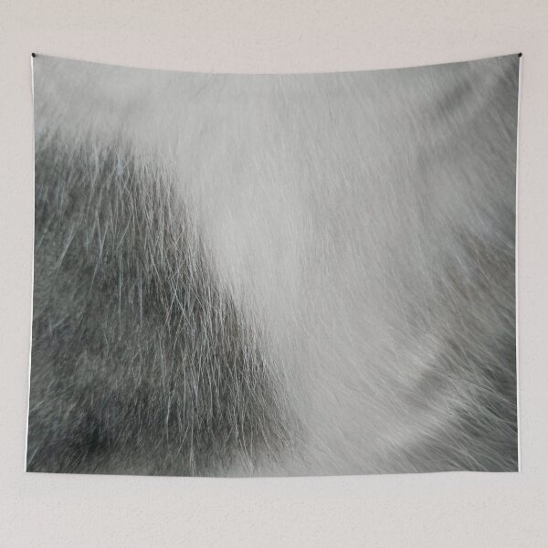 Item preview, Close-up of a White and Gray Cat Fur designed and sold by Glam-OOTD.