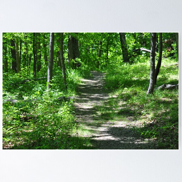 Item preview, A Dirt Path designed and sold by mltrue.