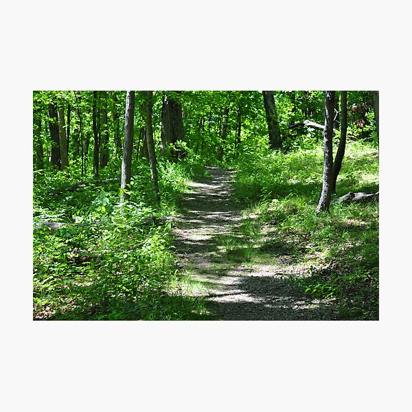 Item preview, A Dirt Path designed and sold by mltrue.