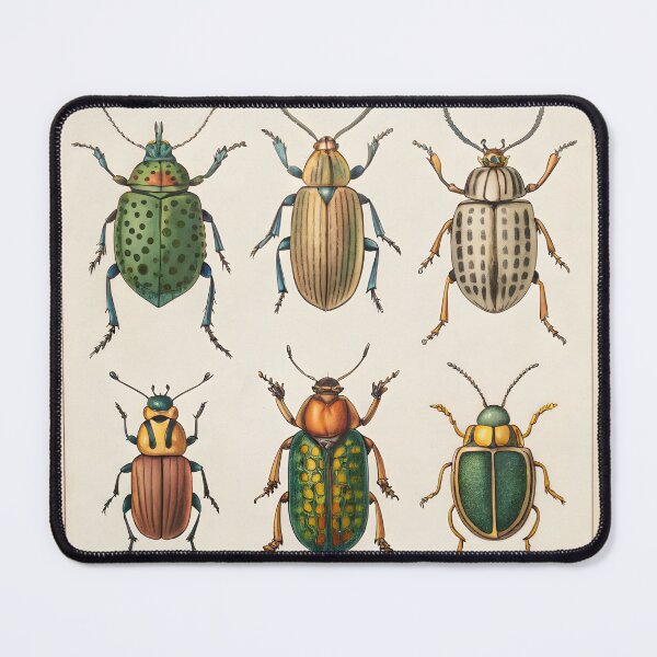 Item preview, antique lithography with bugs designed and sold by DuskTillDown.