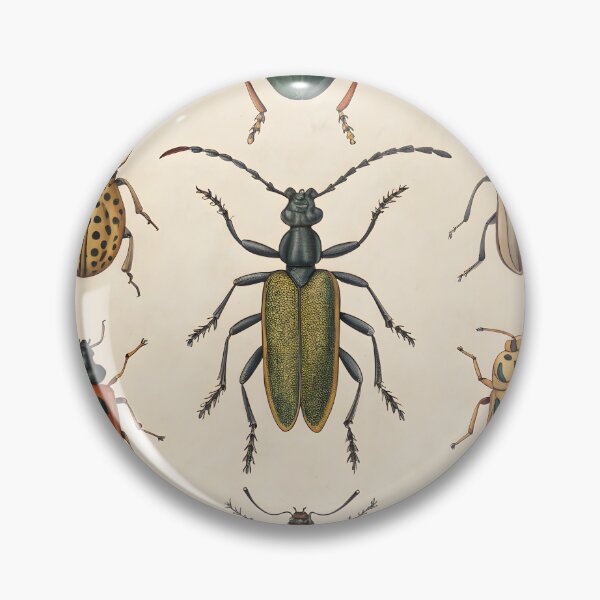 Item preview, antique lithography with insects designed and sold by DuskTillDown.