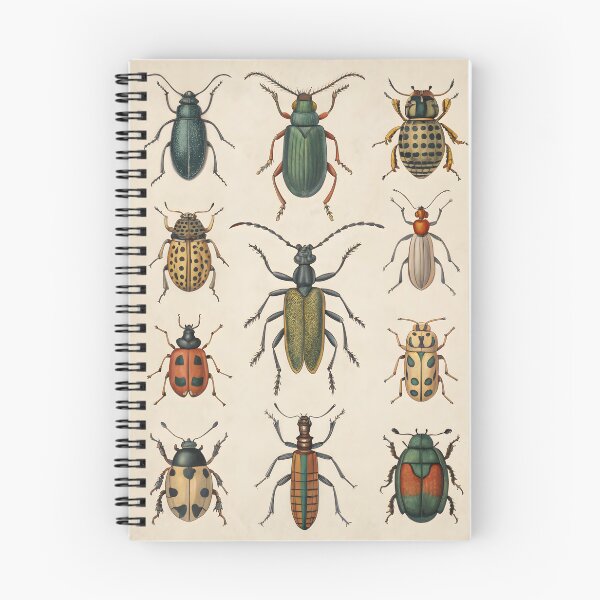 Item preview, antique lithography with insects designed and sold by DuskTillDown.