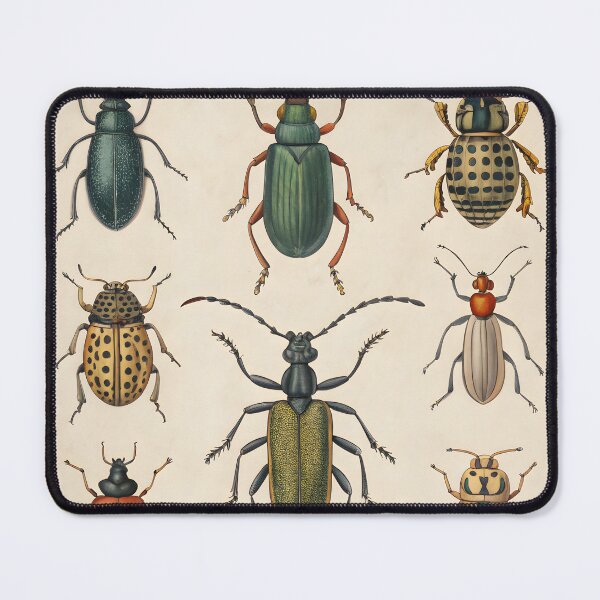 Item preview, antique lithography with insects designed and sold by DuskTillDown.