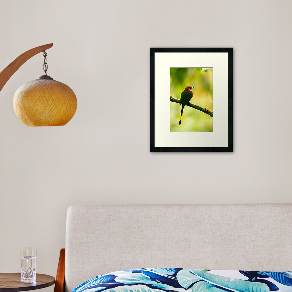 Item preview, Framed Art Print designed and sold by youngpip.
