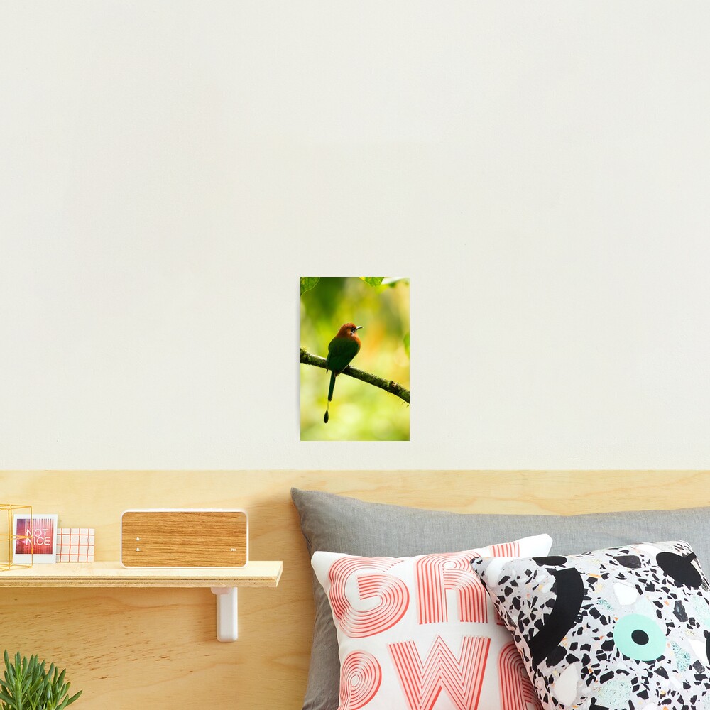 Item preview, Photographic Print designed and sold by youngpip.