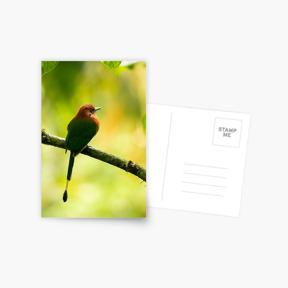 Item preview, Postcard designed and sold by youngpip.