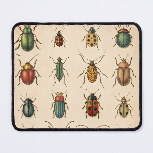 Item preview, antique lithography with insects designed and sold by DuskTillDown.