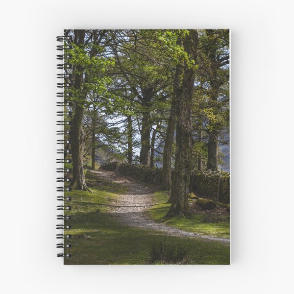 Item preview, Woodland Walk in Buttermere designed and sold by Viv Thompson Photography .