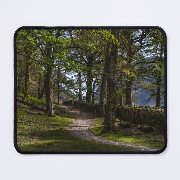Item preview, Woodland Walk in Buttermere designed and sold by Viv Thompson Photography .