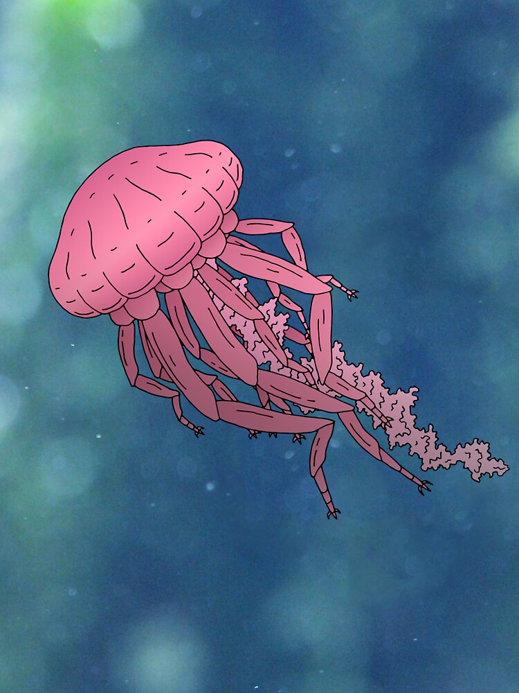 Jellyfish by bekome