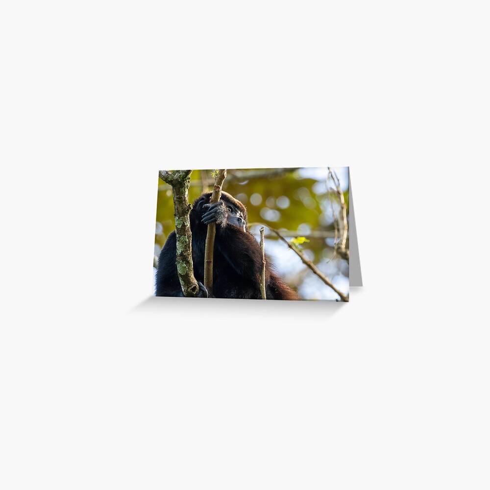 Item preview, Greeting Card designed and sold by youngpip.