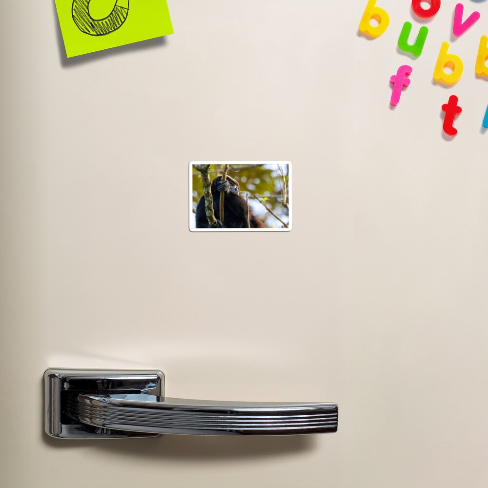 Item preview, Magnet designed and sold by youngpip.