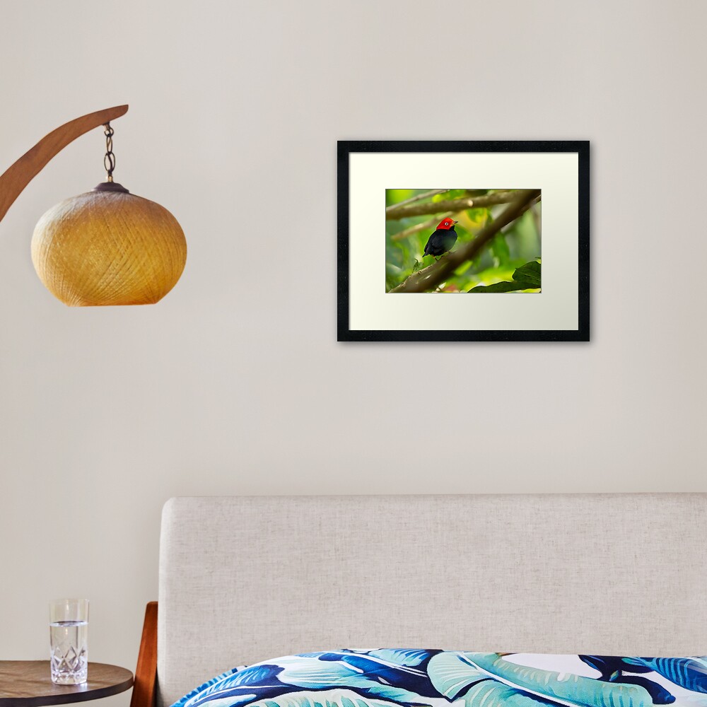 Item preview, Framed Art Print designed and sold by youngpip.