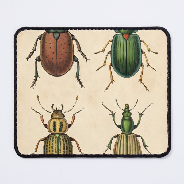 Item preview, antique lithography with insects designed and sold by DuskTillDown.