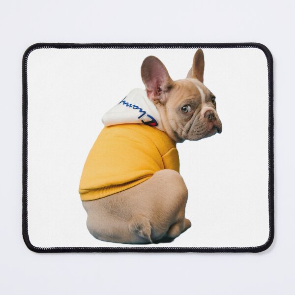 Item preview, funny dog designed and sold by Zriab10.