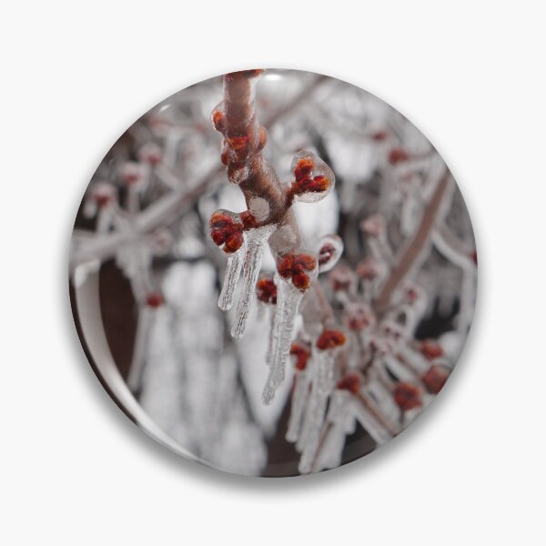 Item preview, Frozen Berries designed and sold by Desiree's Photography .