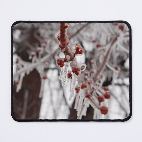 Item preview, Frozen Berries designed and sold by Desiree's Photography .