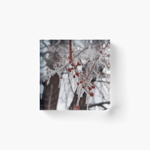 Item preview, Frozen Berries designed and sold by Desiree's Photography .