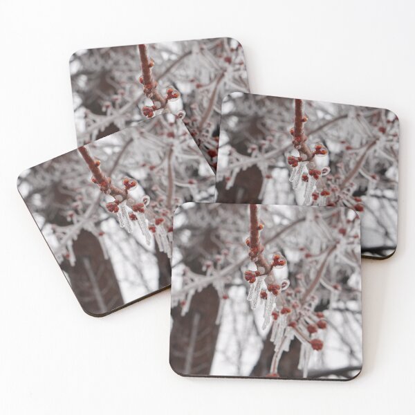 Item preview, Frozen Berries designed and sold by Desiree's Photography .