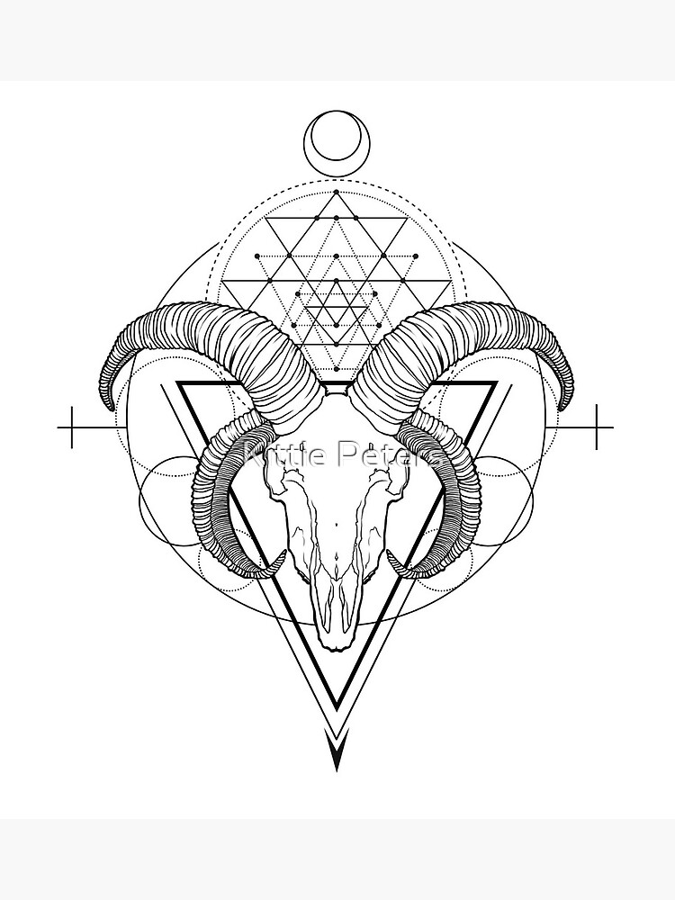 Mountain Goat Skull by Leah Pipe Artist from Hazelton | Goat skull, Skull  hand tattoo, Skull art drawing