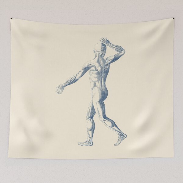 Item preview, Human Muscular System - Artistic View designed and sold by VAposters.