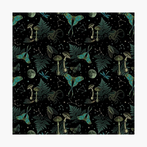 Item preview, Nocturna designed and sold by Studio Vickn.